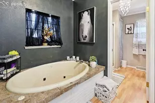 10025 Milne Rd, Colorado Springs, CO 80928 - Photo 20