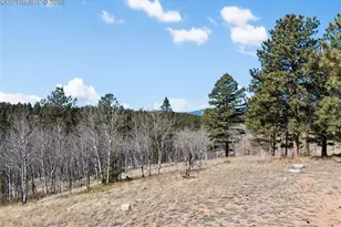 4265 County Road 51 Rd, Divide, CO 80814 - Photo 6