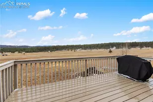 901 Wilson Dr, Florissant, CO 80816 - Photo 32