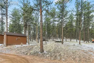 901 Wilson Dr, Florissant, CO 80816 - Photo 30