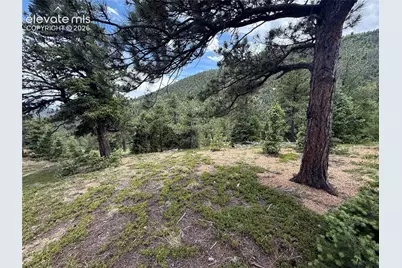 254 Grand Horizon View, Manitou Springs, CO 80829 - Photo 20