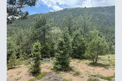 254 Grand Horizon View, Manitou Springs, CO 80829 - Photo 24