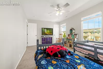 7383 Little Jimmy Grove, Fountain, CO 80817 - Photo 20