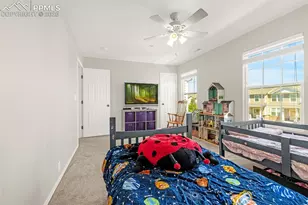 7383 Little Jimmy Grove, Fountain, CO 80817 - Photo 20