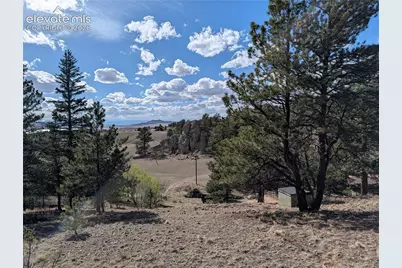 163 Cutthroat Drive, Lake George, CO 80827 - Photo 6