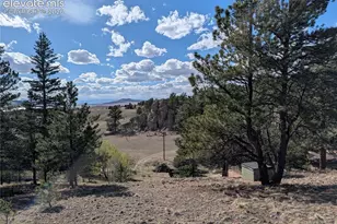163 Cutthroat Dr, Lake George, CO 80827 - Photo 6