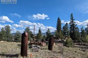 163 Cutthroat Dr, Lake George, CO 80827 - Photo 42