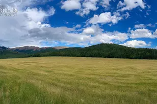 12458 S Hwy 67, Cripple Creek, CO 80813 - Photo 50