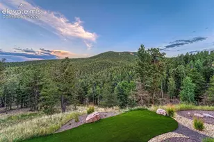 3200 Elk Ridge, Divide, CO 80814 - Photo 46