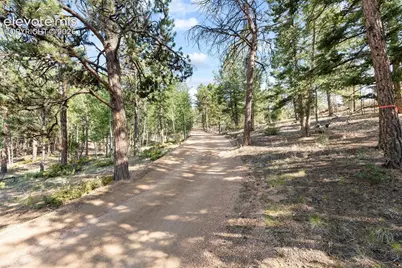 2270 Pikes Peak Drive, Florissant, CO 80816 - Photo 42
