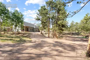 2270 Pikes Peak Dr, Florissant, CO 80816 - Photo 1