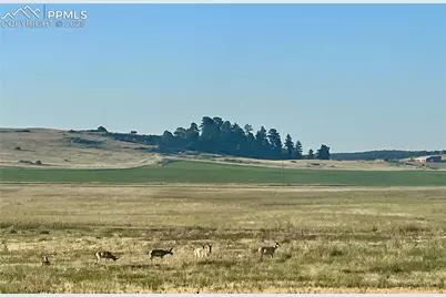 Lot 1 Craven Place, Elbert, CO 80106 - Photo 1