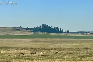 Lot 1 Craven Pl, Elbert, CO 80106 - Photo 1