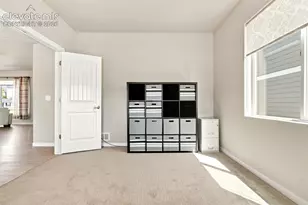 2382 Pelican Bay Dr, Monument, CO 80132 - Photo 22