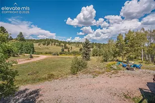 44 Fawn Cir, Florissant, CO 80816 - Photo 30