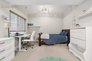 154 E Lost Pnes Dr, Monument, CO 80132 - Photo 38