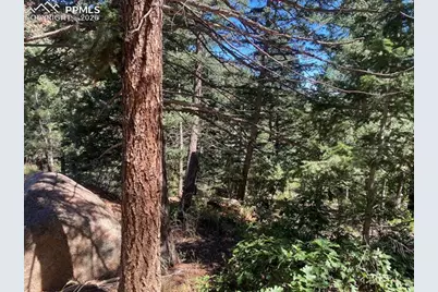 231 Upper Sun Valley Road, Manitou Springs, CO 80829 - Photo 8