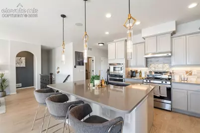 9395 Mayflower Gulch Way, Colorado Springs, CO 80927 - Photo 14