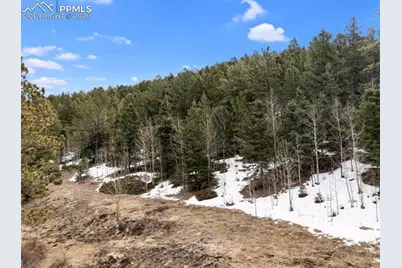 278 Penrose Circle, Cripple Creek, CO 80813 - Photo 12