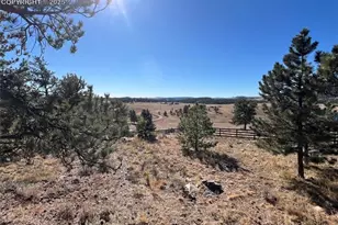254 E Cobb Ln, Guffey, CO 80820 - Photo 40