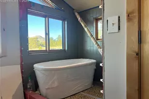 254 E Cobb Ln, Guffey, CO 80820 - Photo 14