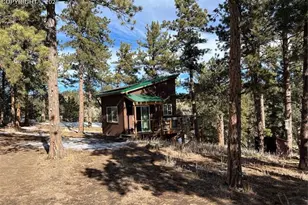 254 E Cobb Ln, Guffey, CO 80820 - Photo 18