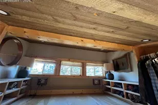 254 E Cobb Ln, Guffey, CO 80820 - Photo 20