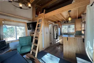254 E Cobb Ln, Guffey, CO 80820 - Photo 22