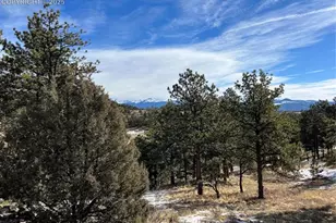 254 E Cobb Ln, Guffey, CO 80820 - Photo 42