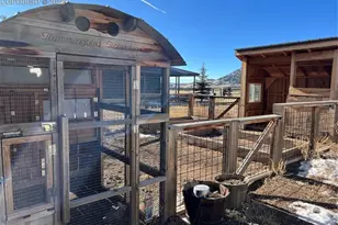 254 E Cobb Ln, Guffey, CO 80820 - Photo 38