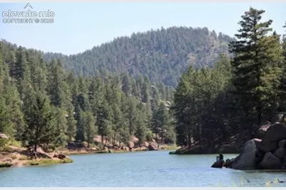 172 Shady Lane, Palmer Lake, CO 80133 - Photo 34