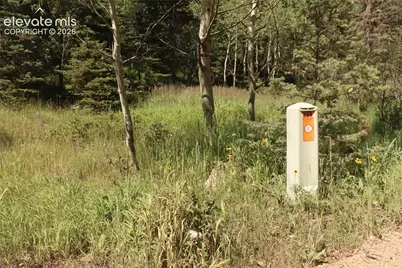 286 Coffee Road, Manitou Springs, CO 80829 - Photo 2