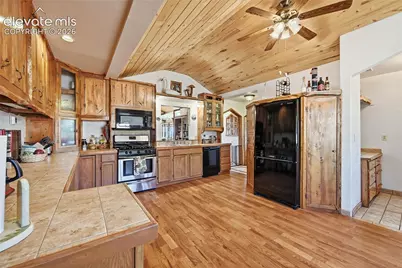556 Circle Drive, Florissant, CO 80816 - Photo 6