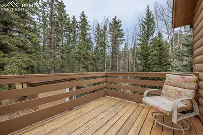 37 Silbani Lane, Florissant, CO 80816 - Photo 6