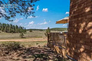 301 Circle Dr, Florissant, CO 80816 - Photo 34