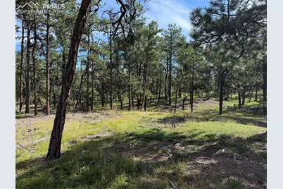 17405 E Goshawk Road, Colorado Springs, CO 80908 - Photo 1