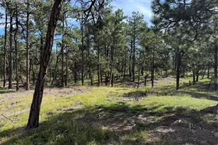17405 E Goshawk Rd, Colorado Springs, CO 80908 - Photo 1