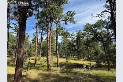 17405 E Goshawk Road, Colorado Springs, CO 80908 - Photo 8