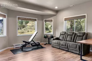2441 Glen Cove Dr, Woodland Park, CO 80863 - Photo 14