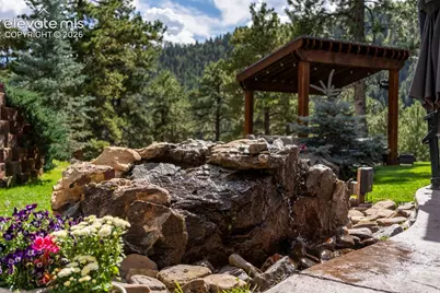 2441 Glen Cove Drive, Woodland Park, CO 80863 - Photo 34