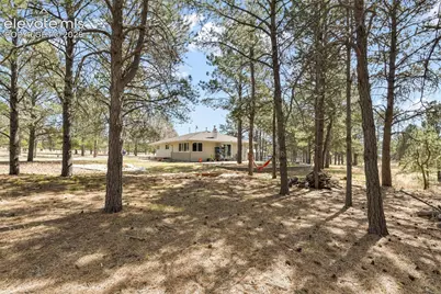 11165 Pine Meadows Road, Colorado Springs, CO 80908 - Photo 40