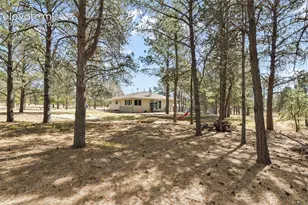 11165 Pine Meadows Rd, Colorado Springs, CO 80908 - Photo 40