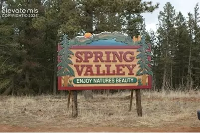 45 Valley Circle, Divide, CO 80814 - Photo 40