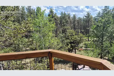 276 Oxford Place, Florissant, CO 80816 - Photo 2