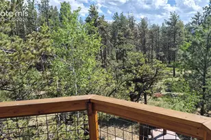 276 Oxford Pl, Florissant, CO 80816 - Photo 2