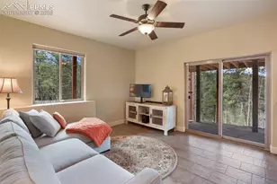 185 Wildcat Creek Dr, Florissant, CO 80816 - Photo 24