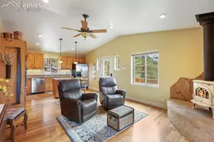185 Wildcat Creek Dr, Florissant, CO 80816 - Photo 8