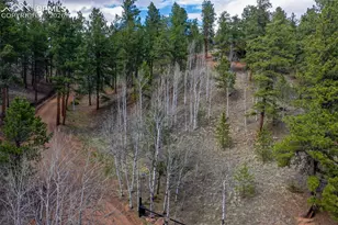 185 Wildcat Creek Dr, Florissant, CO 80816 - Photo 44