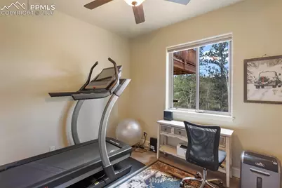 185 Wildcat Creek Drive, Florissant, CO 80816 - Photo 32