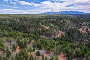 185 Wildcat Creek Dr, Florissant, CO 80816 - Photo 38